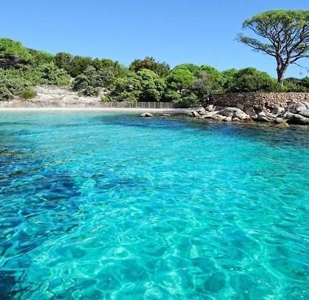 Nouvel Location D'Un Bel Appart T2 Climatise Et Meuble Au Rdch Avec Piscine Dans Residence Les Melody Santa-Maria-Poggio  Eksteriør billede