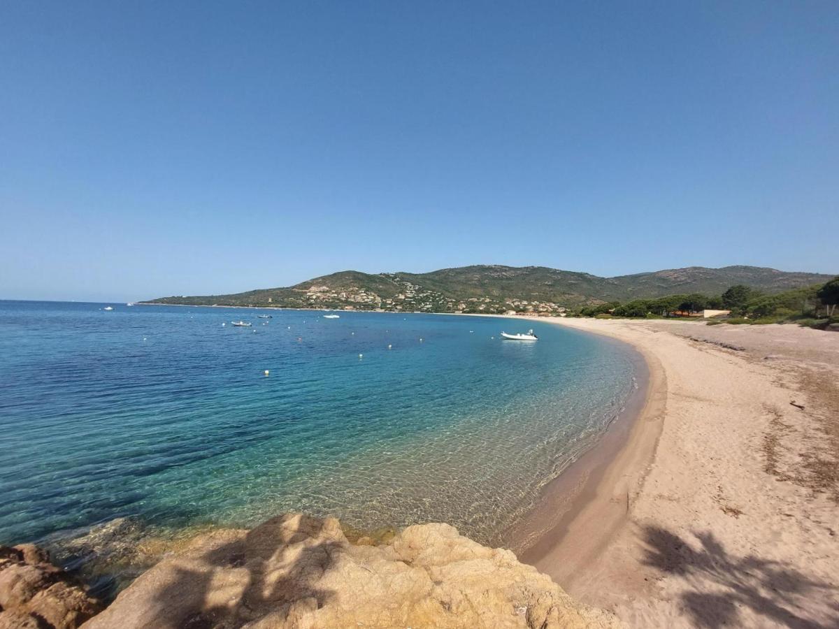 Nouvel Location D'Un Bel Appart T2 Climatise Et Meuble Au Rdch Avec Piscine Dans Residence Les Melody Santa-Maria-Poggio  Eksteriør billede