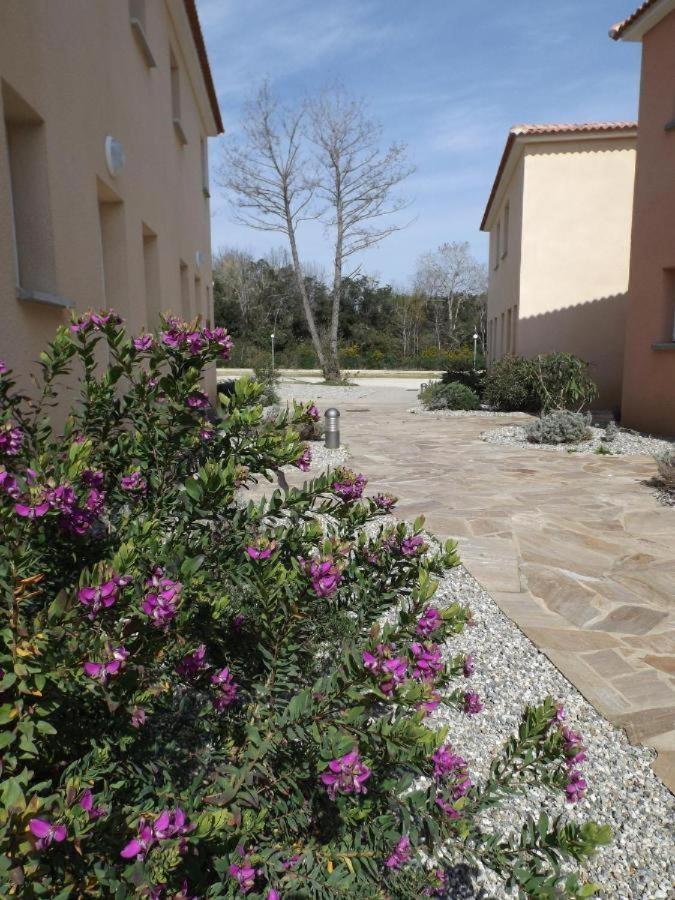 Nouvel Location D'Un Bel Appart T2 Climatise Et Meuble Au Rdch Avec Piscine Dans Residence Les Melody Santa-Maria-Poggio  Eksteriør billede