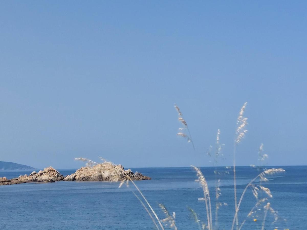 Nouvel Location D'Un Bel Appart T2 Climatise Et Meuble Au Rdch Avec Piscine Dans Residence Les Melody Santa-Maria-Poggio  Eksteriør billede